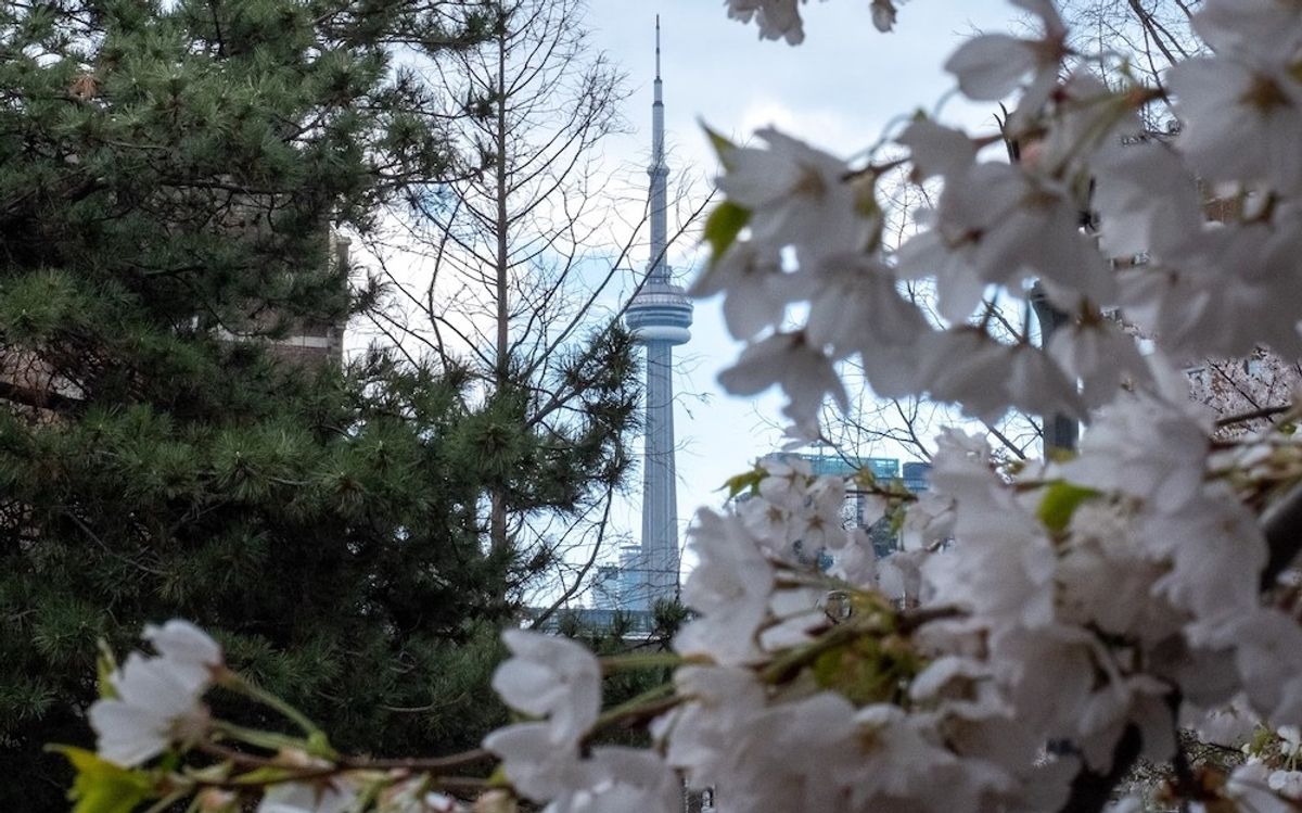 Why Is The Toronto Real Estate Market So Resilient? An Expert Explains