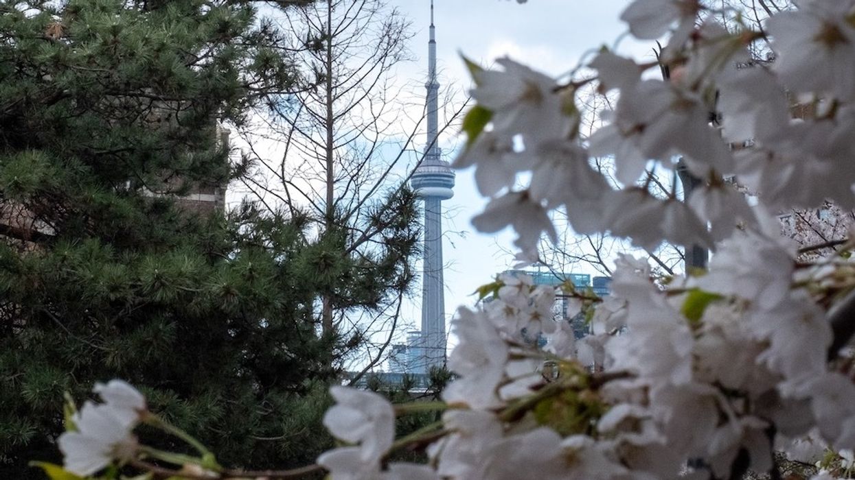 Why Is The Toronto Real Estate Market So Resilient? An Expert Explains