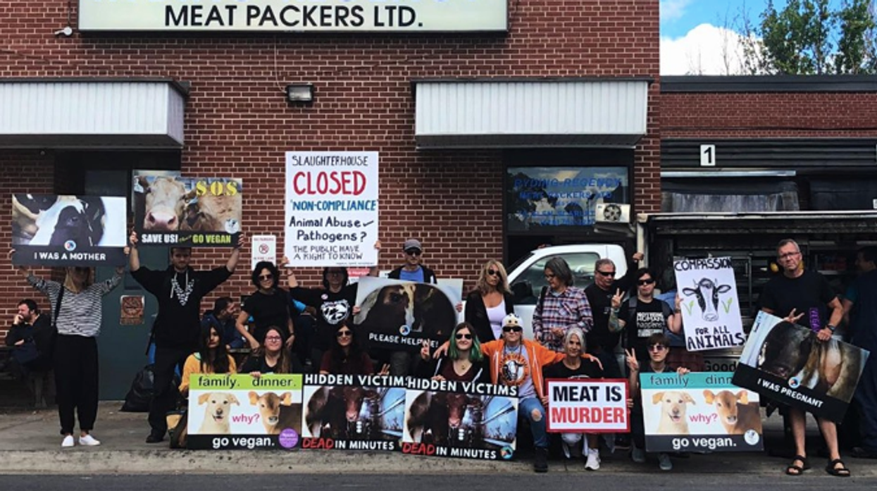 Screen shot 2019 09 25 at 2