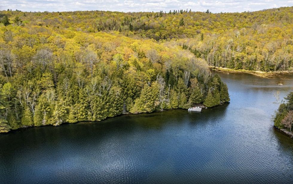 Screen shot 2021 05 27 at 44459 pm