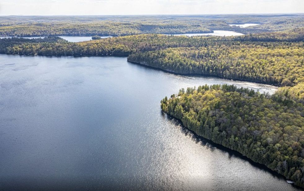 Screen shot 2021 05 27 at 44515 pm