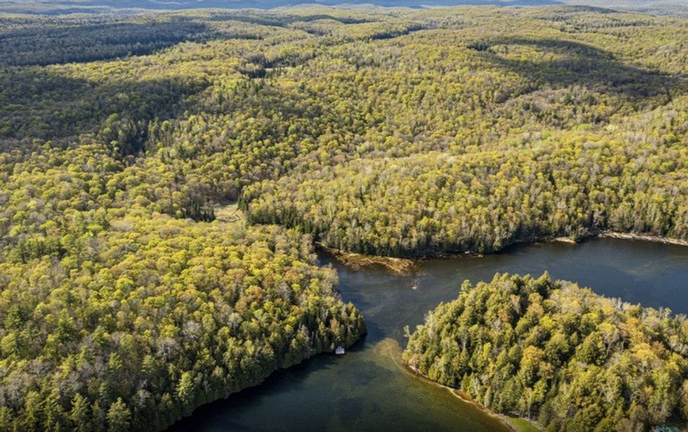 Screen shot 2021 05 27 at 44522 pm