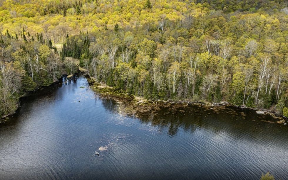 Screen shot 2021 05 27 at 44529 pm