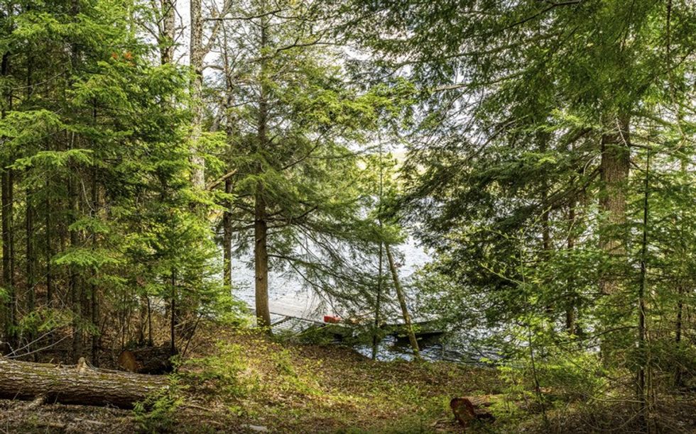 Screen shot 2021 05 27 at 44551 pm