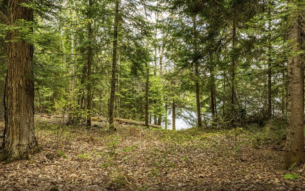 Screen shot 2021 05 27 at 44557 pm