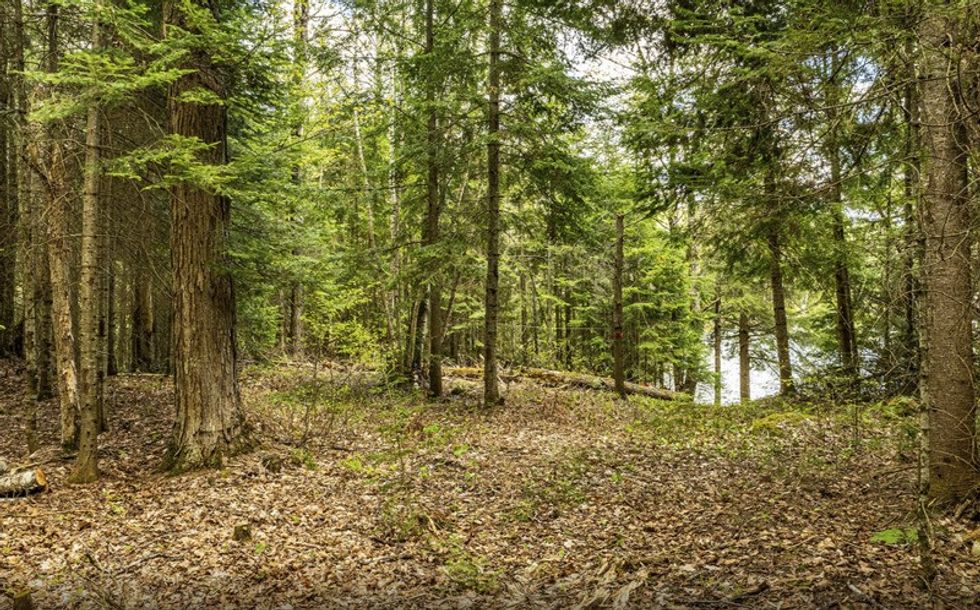 Screen shot 2021 05 27 at 44605 pm