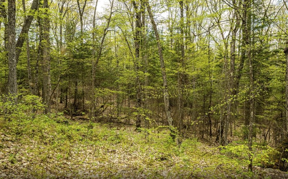 Screen shot 2021 05 27 at 44611 pm