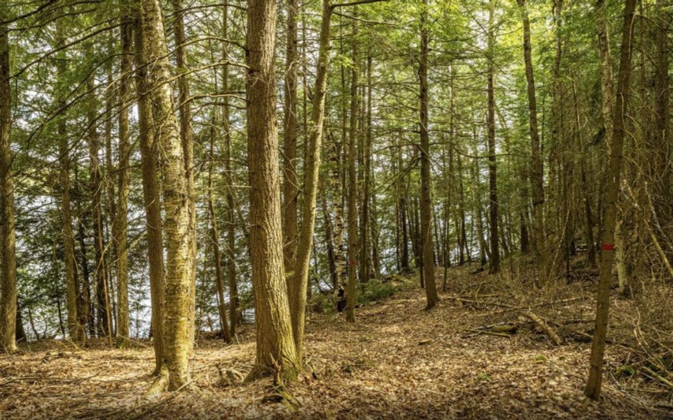 Screen shot 2021 05 27 at 44619 pm