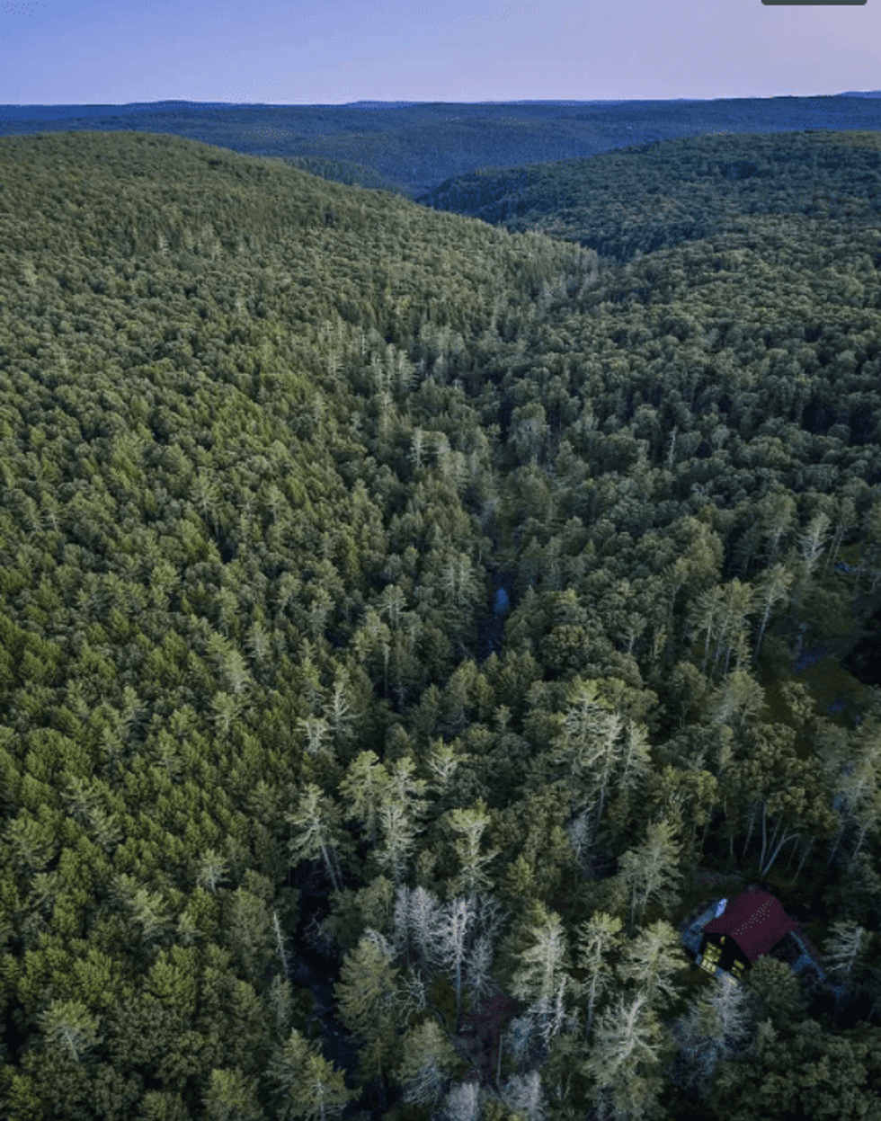 Screen shot 2021 07 05 at 3