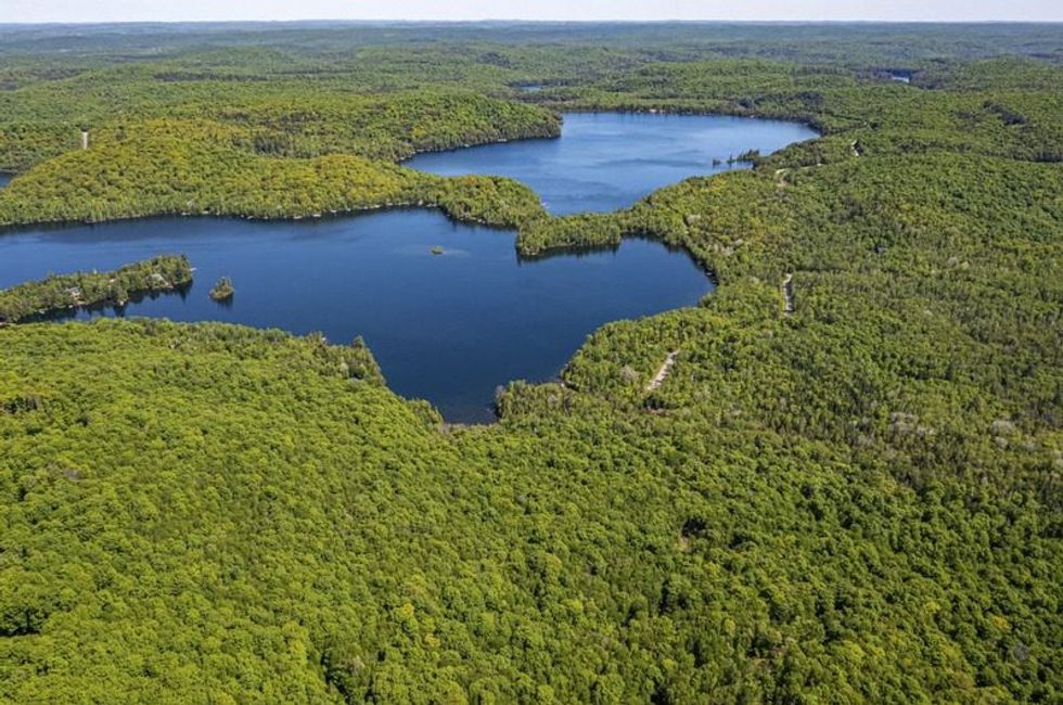 Screen shot 2021 07 08 at 73921 pm