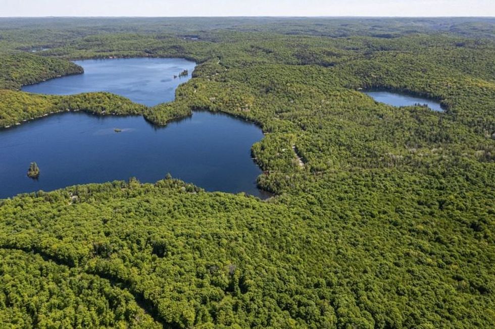 Screen shot 2021 07 08 at 73929 pm