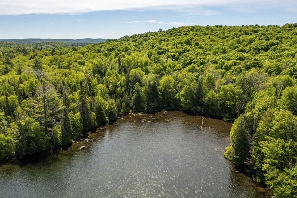 Screen shot 2021 07 08 at 73937 pm