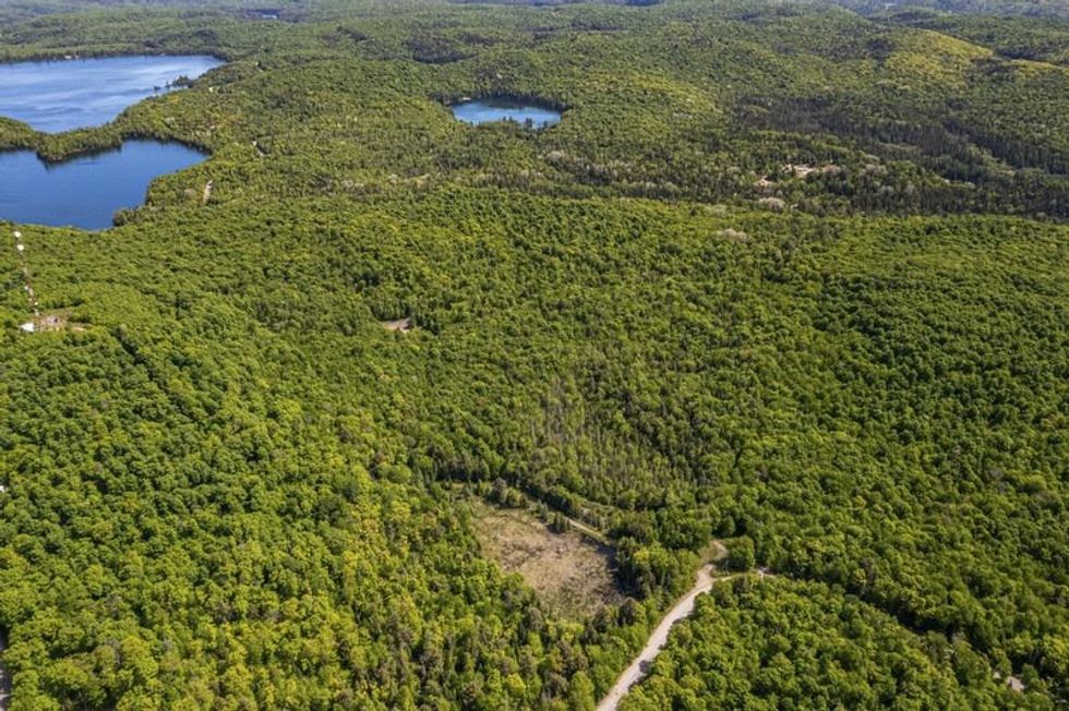 Screen shot 2021 07 08 at 73951 pm