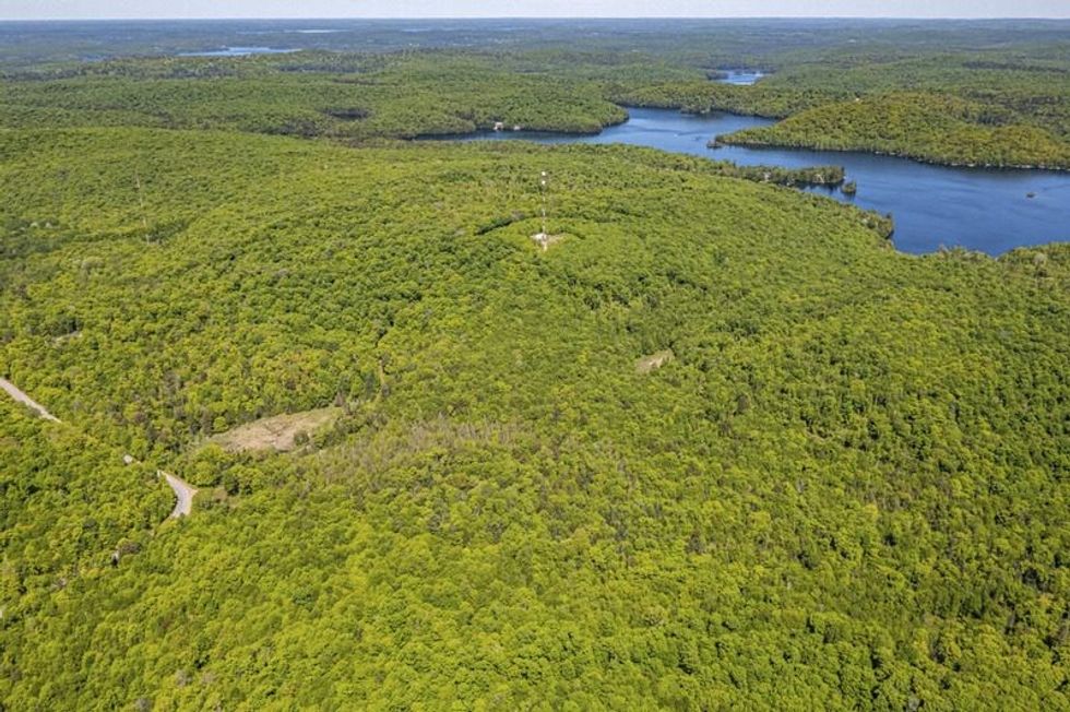 Screen shot 2021 07 08 at 74004 pm