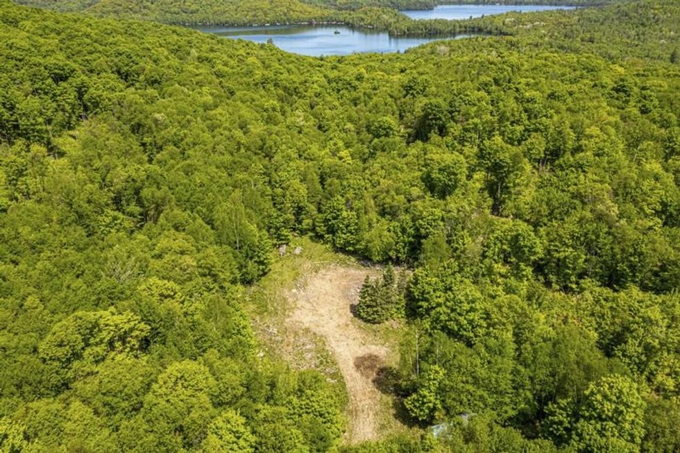 Screen shot 2021 07 08 at 74049 pm