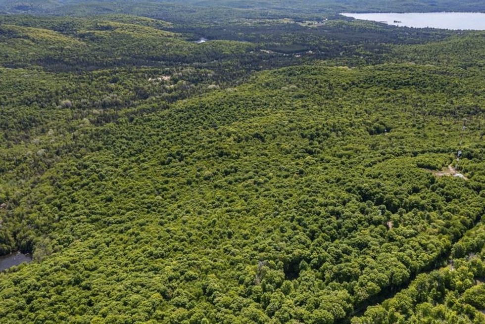 Screen shot 2021 07 08 at 74117 pm