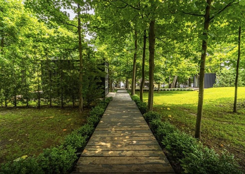 Screen shot 2021 07 29 at 31035 pm