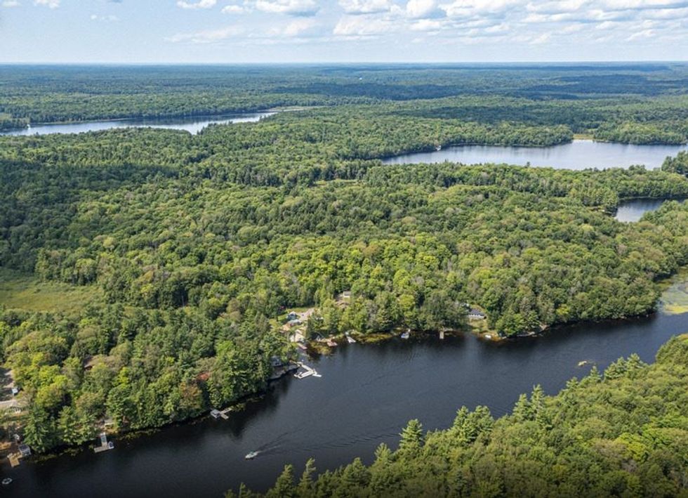 Screen shot 2021 08 06 at 113826 am