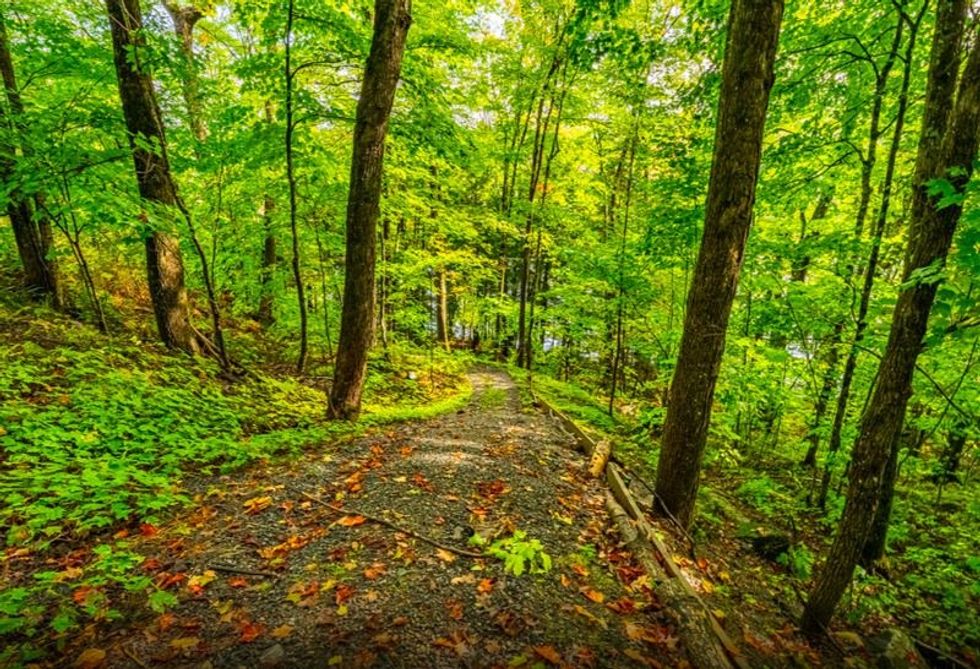 Screen shot 2021 10 08 at 125604 pm