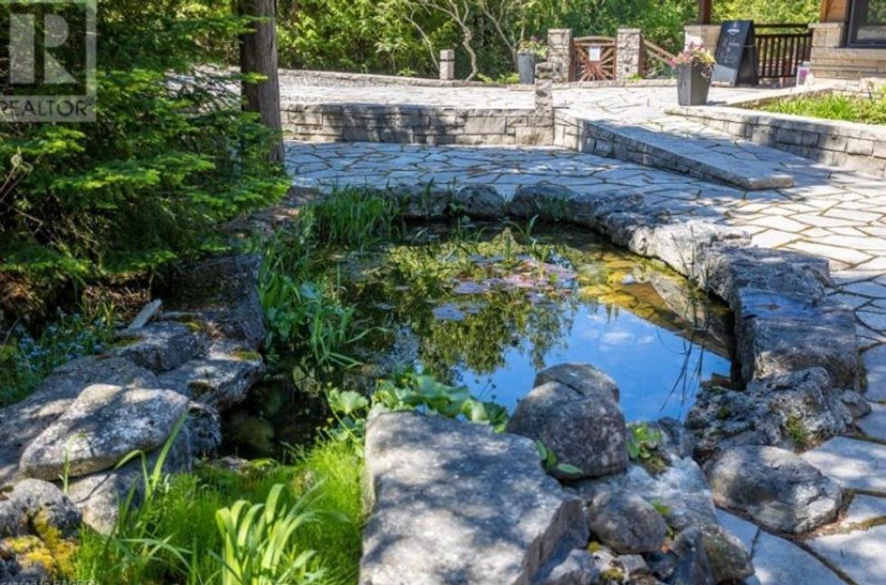 Screen shot 2022 06 29 at 2