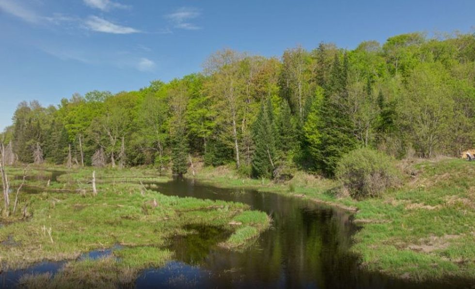 Screen shot 2022 08 15 at 3