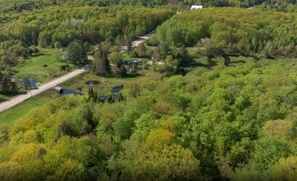 Screen shot 2022 08 15 at 3