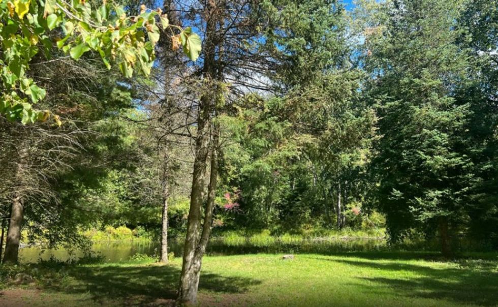 Screen shot 2022 11 17 at 3