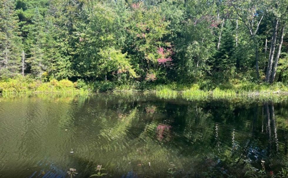 Screen shot 2022 11 17 at 3