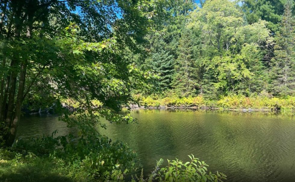 Screen shot 2022 11 17 at 3