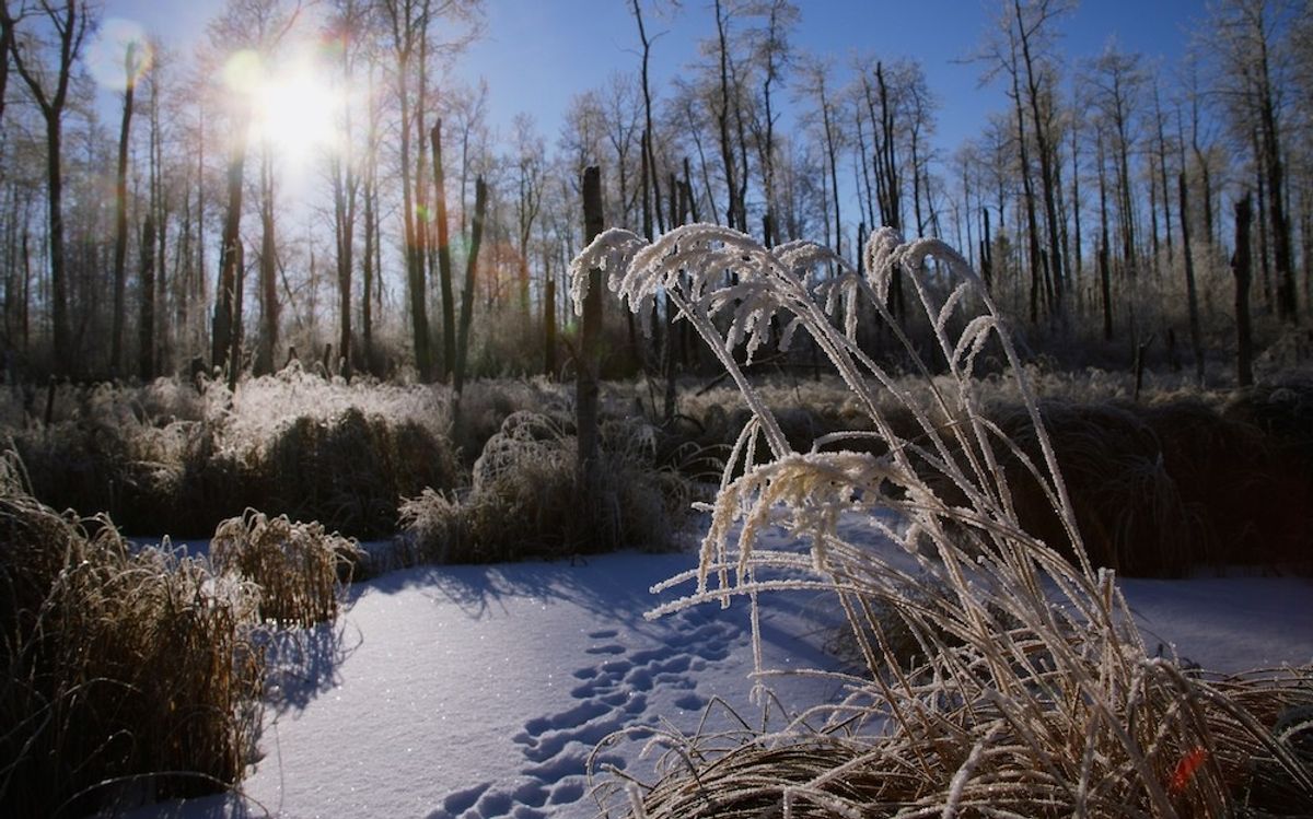 Country Calling: Get To Know Sherwood Park, A Beloved Alberta Hamlet