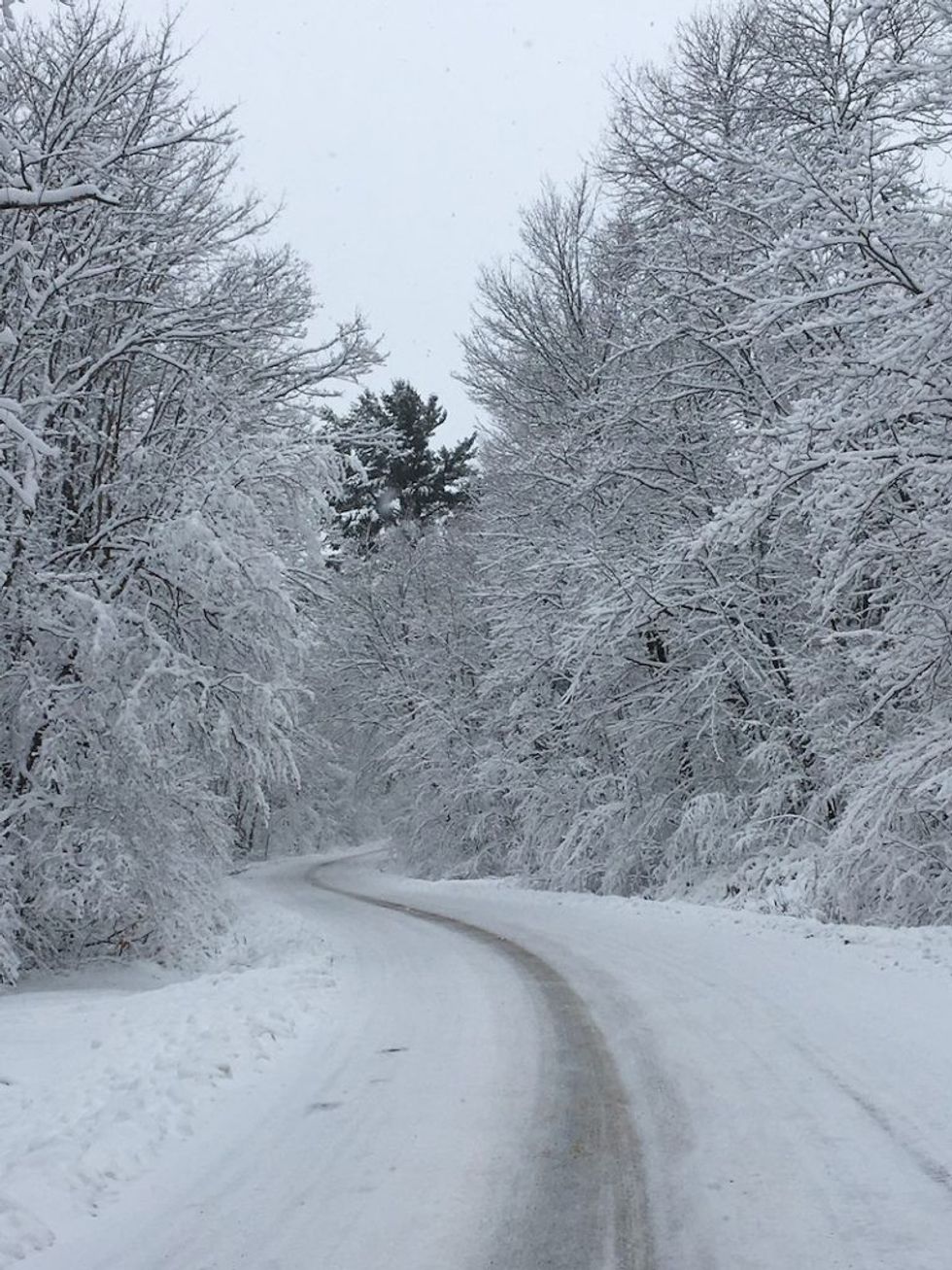 Skating trail 768x1024