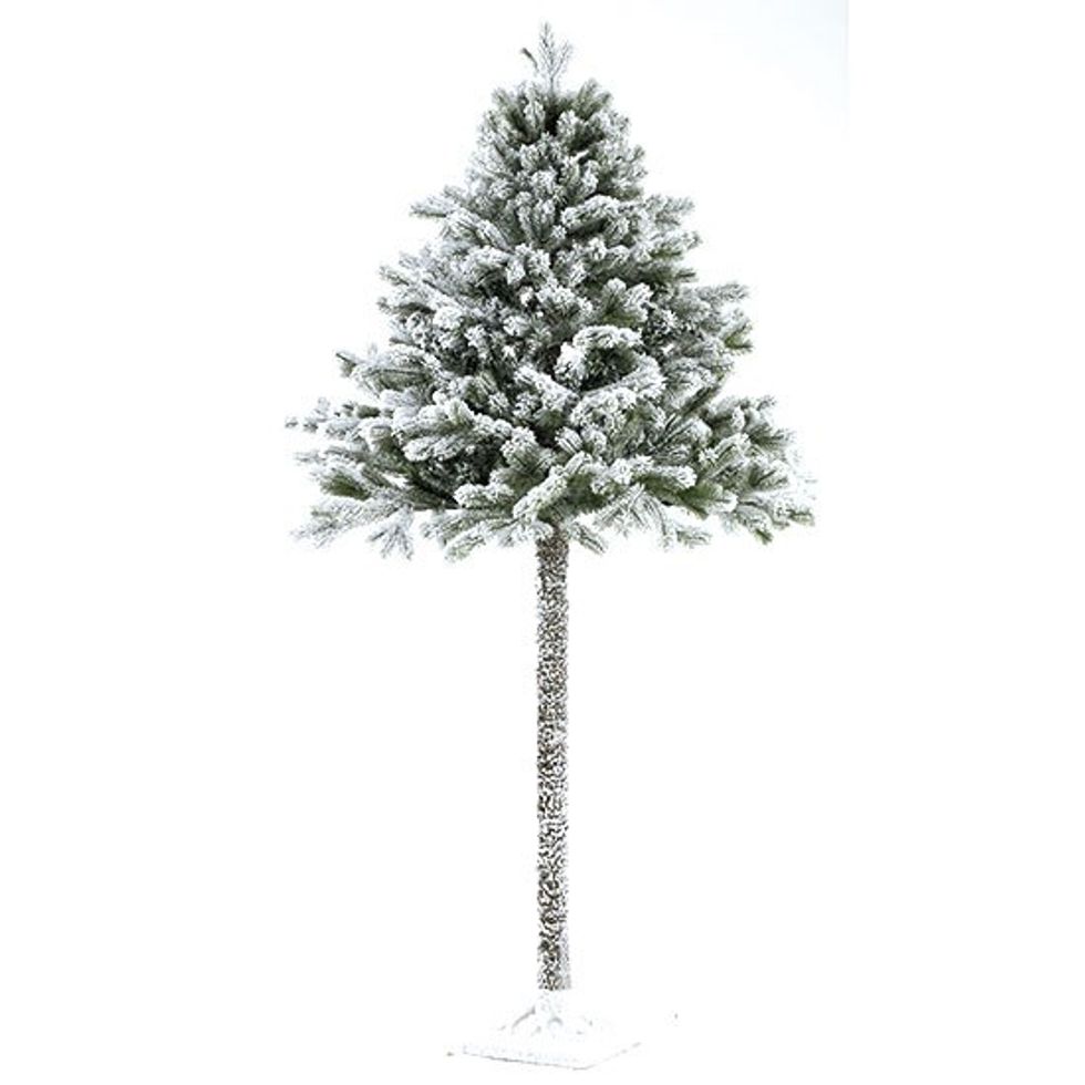 Snowy evergreen tree from homebase