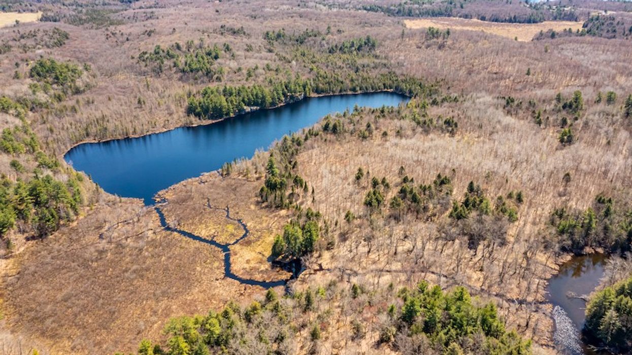 Seguin Dream-Cottage Build Site Offers 132 Acres for Under $1M