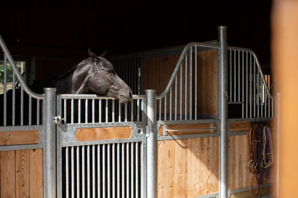 Stables min 1024x682