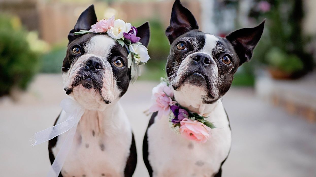 Things To Do Toronto