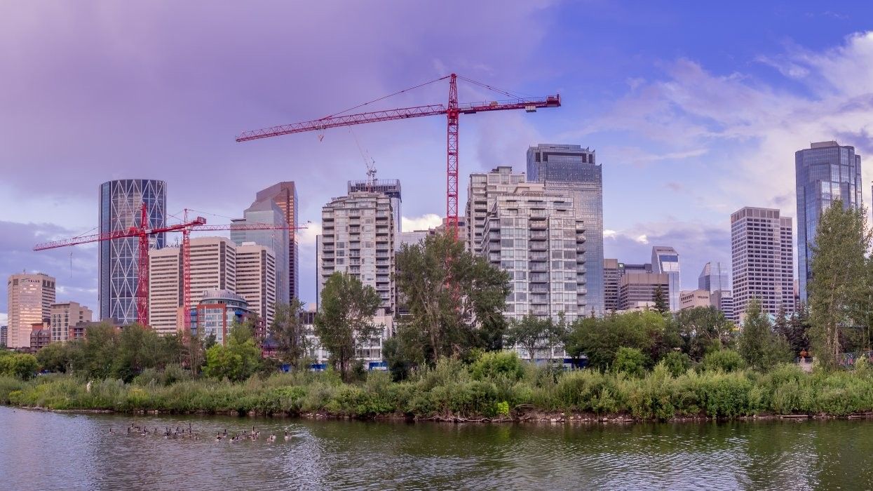 Three cranes near the Bow River in Calgary.