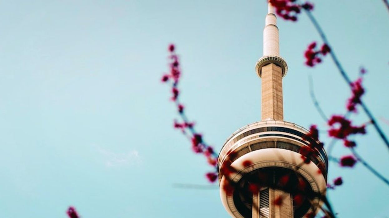 Tim gouw iheaalukpgw unsplash