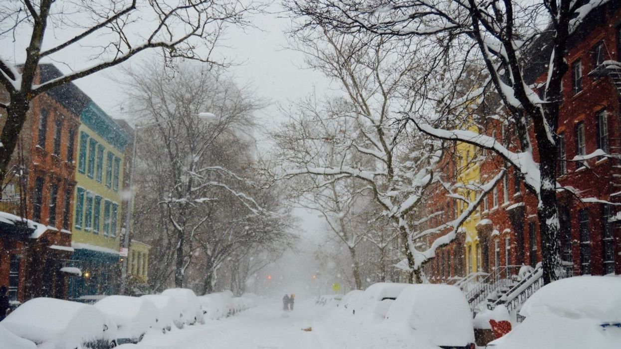 Todd torabi 60178 unsplash e1548265126324