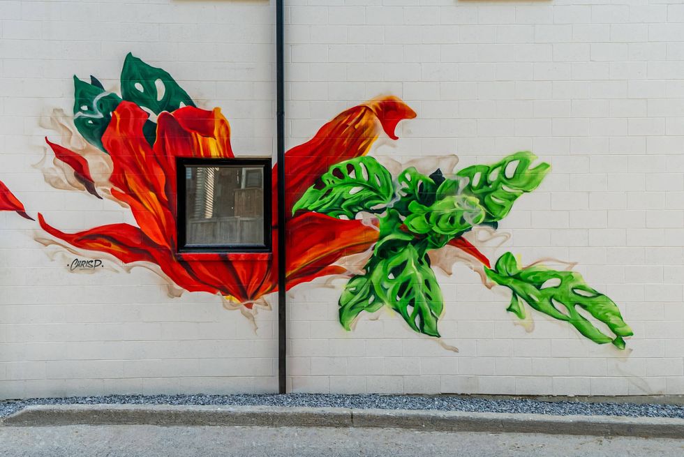 toronto davenport multiplex conversion