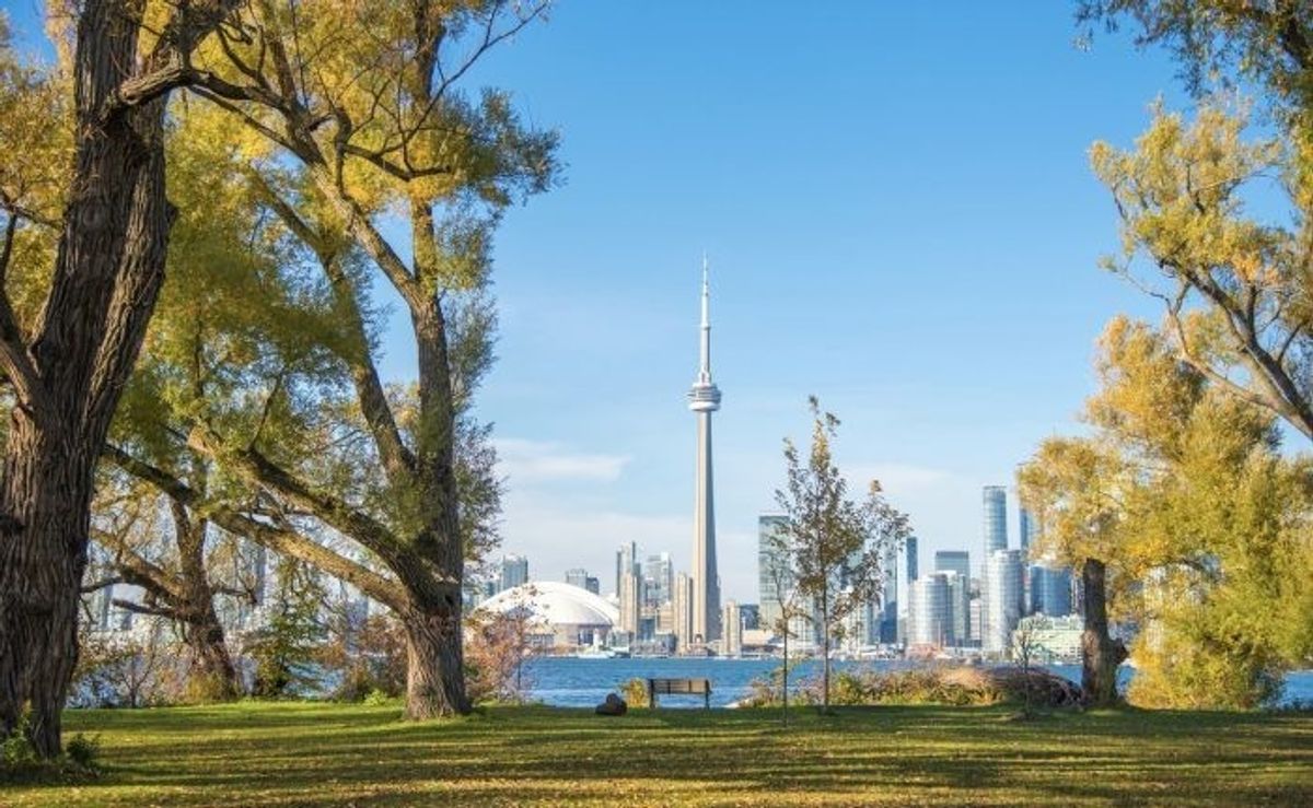 'There's Nothing To Wait For Anymore': What's Driving Toronto's Summer Market