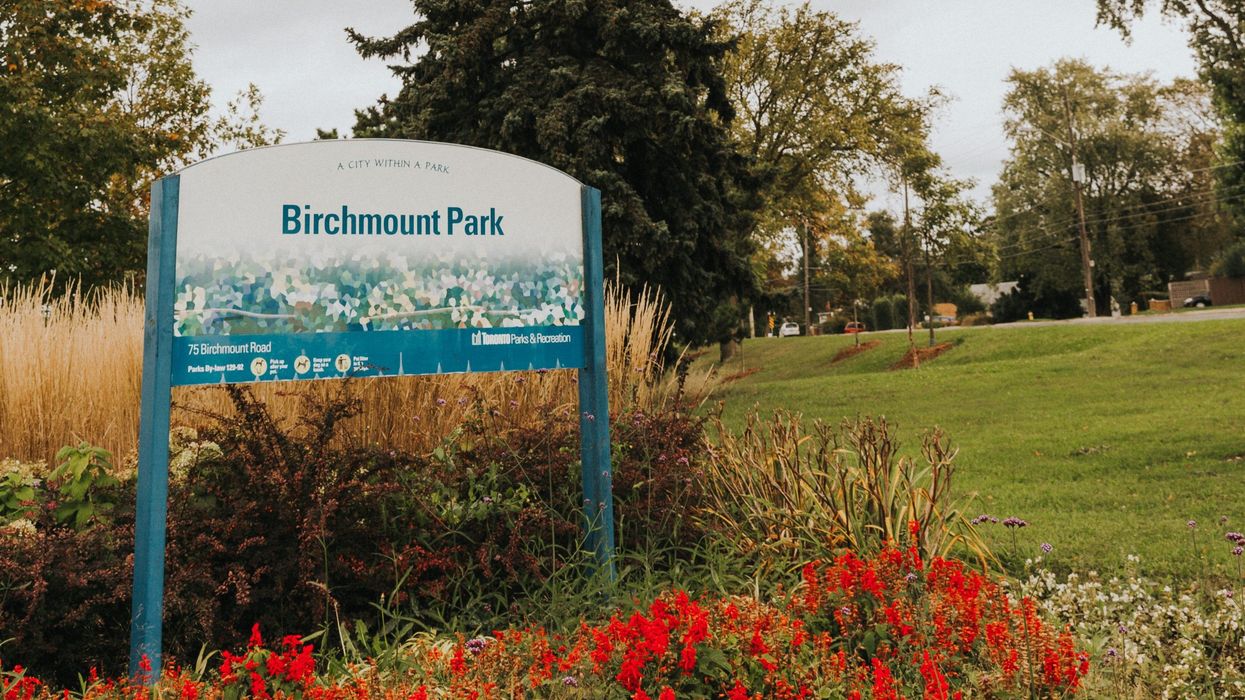 Toronto neighbourhoods for nature lovers