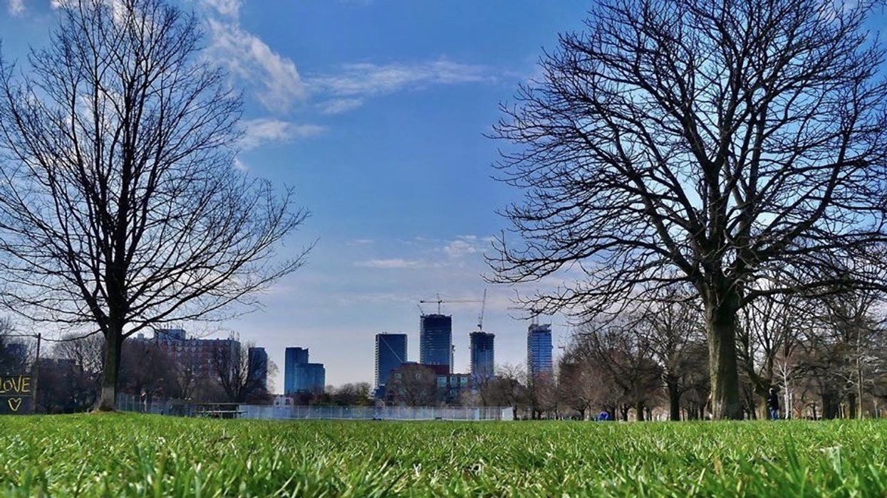 toronto parks alcohol