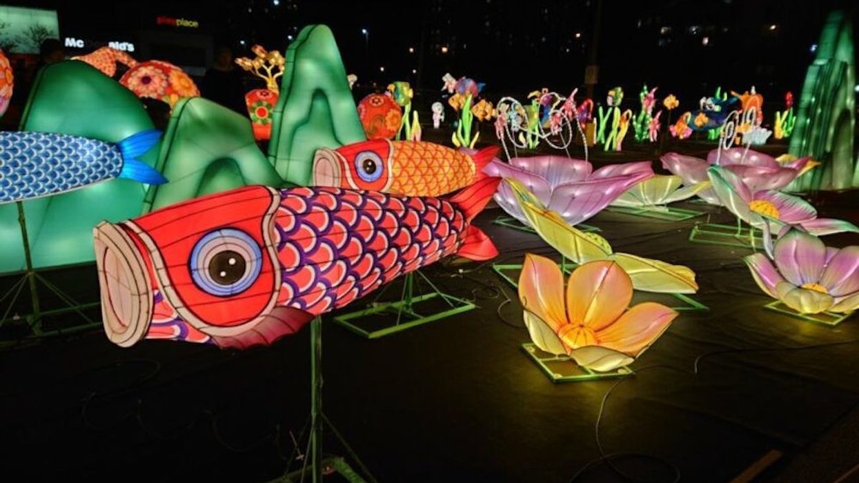 toronto things to do this weekend jan 20 21 22