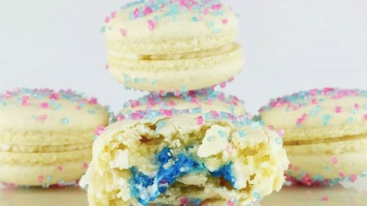 toronto vegan festival