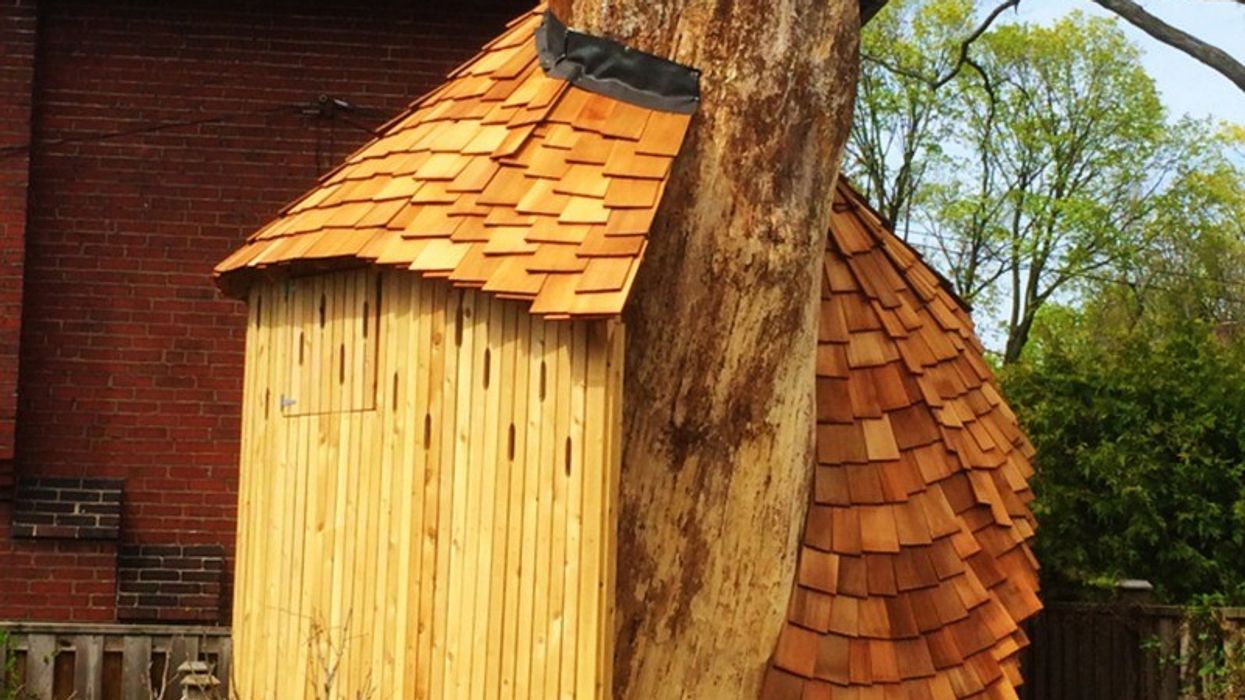 Toronto real estate in the sky — treehouses are the new ‘magical’ penthouse