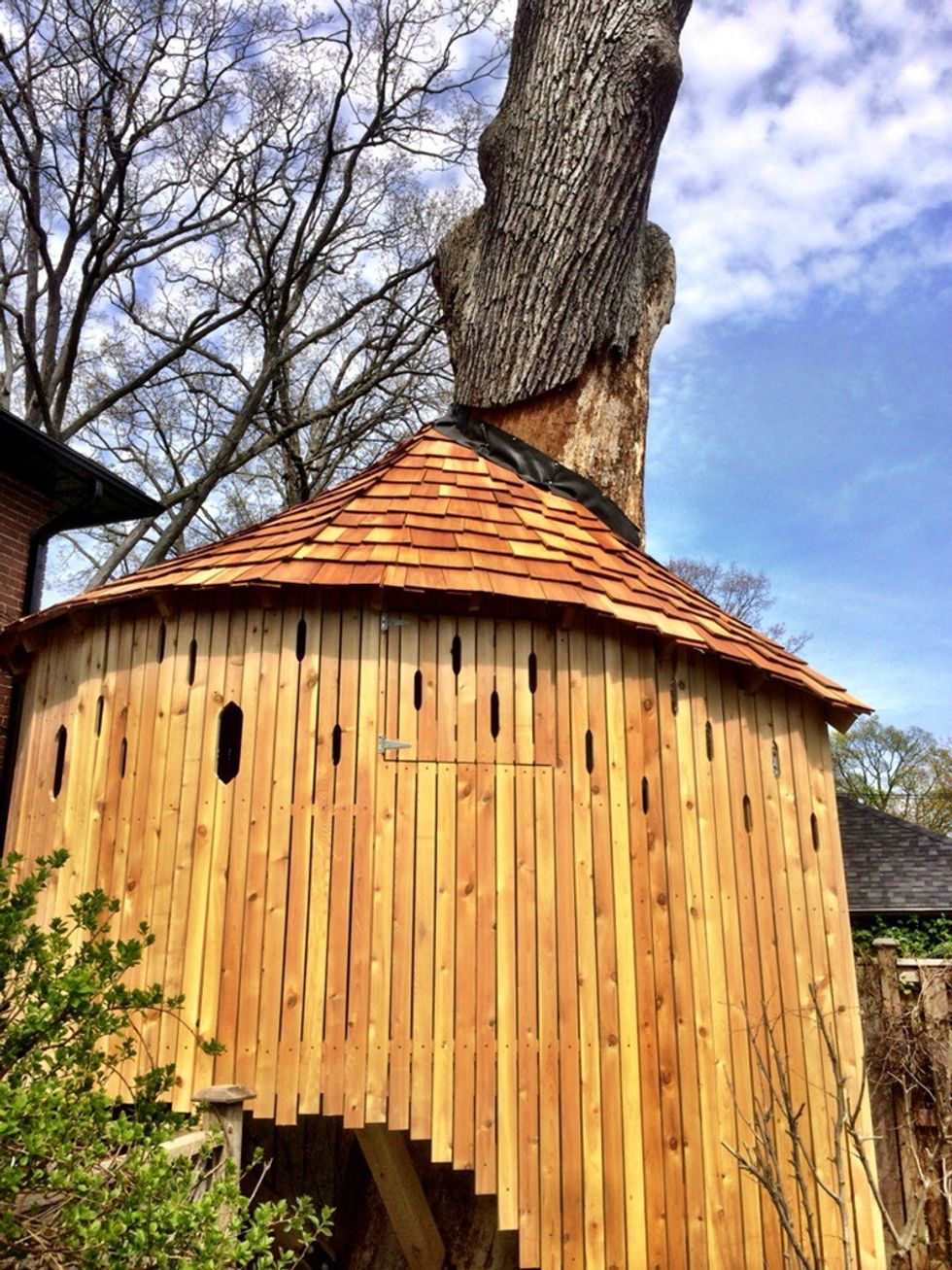 Treehouse debow side window