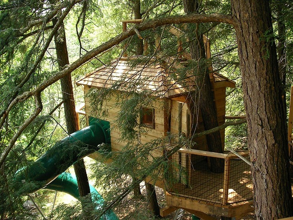 Treehouse muskoka july 1