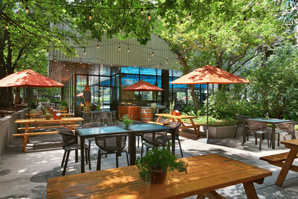 Urban garden1 1 1024x684