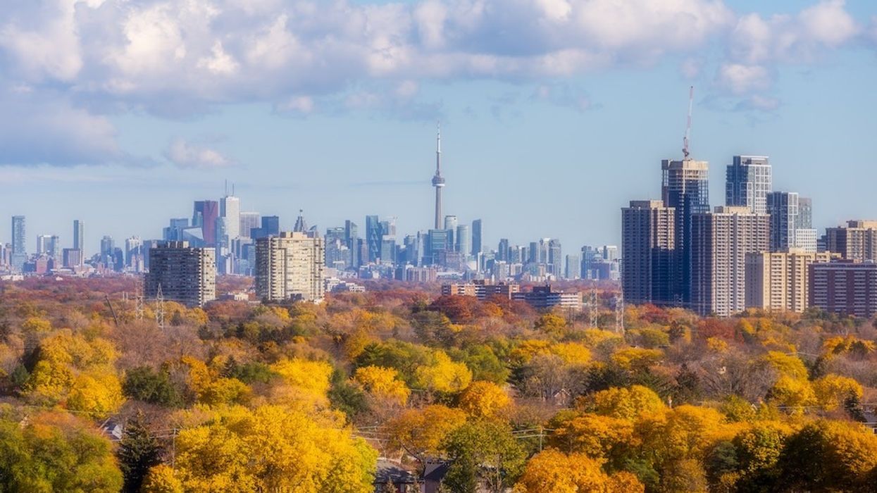 View of Toronto skyline with autumn trees in foreground