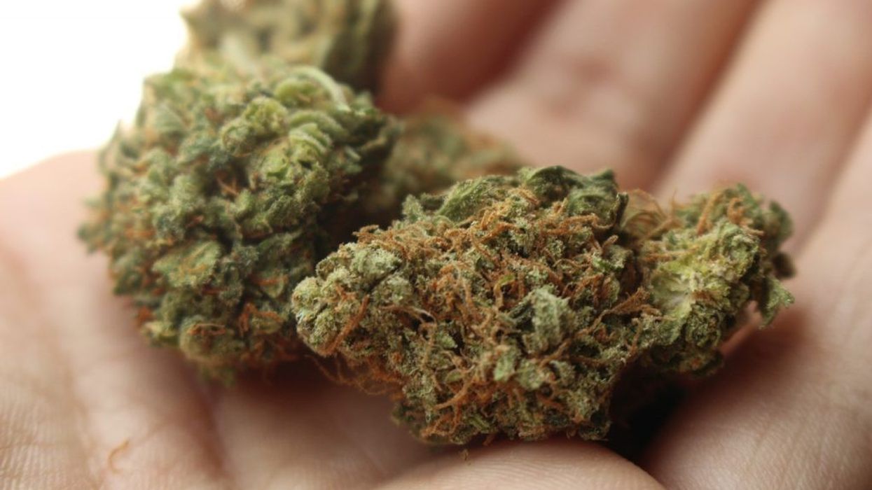 Weed 2517251 1280 2 1024x682